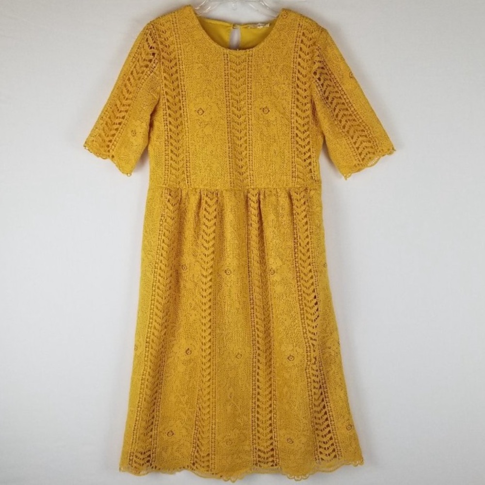 Gorgeous and feminine Tea N Rose gold Lace Overlay Knee Length Midi Dress sz S